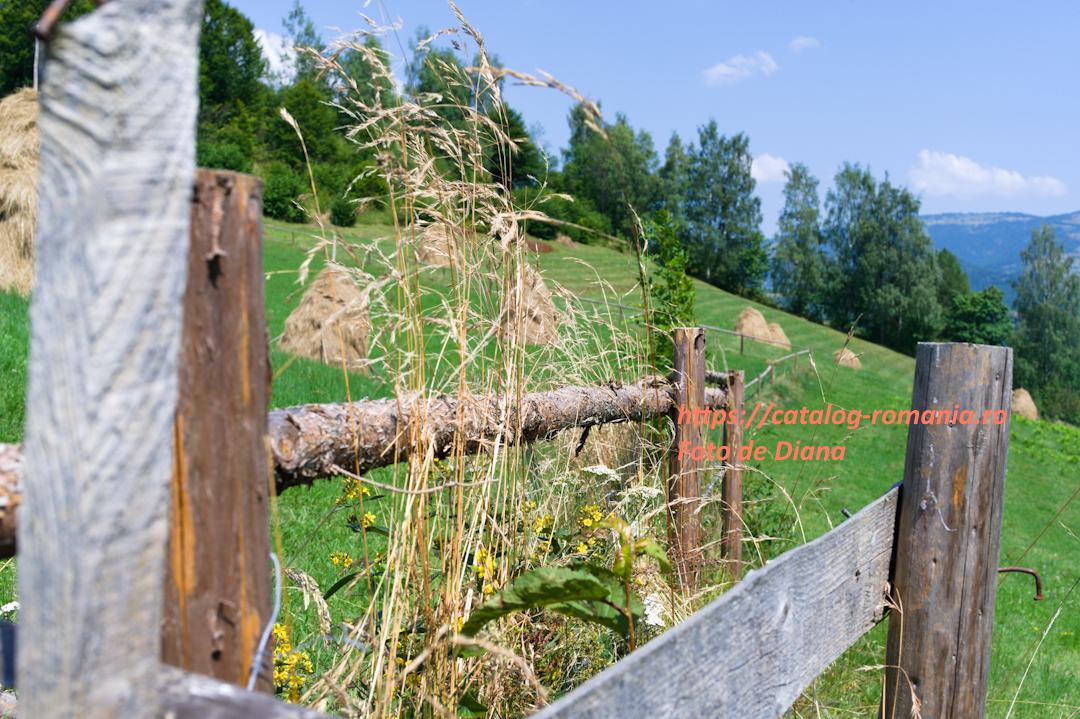 Parcul Natural Apuseni - gard lemn iarba traseu montan fotografie Diana