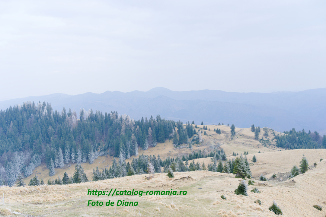 Iarna in muntii Bucegi - vremea muntii bucegi fotografie Diana