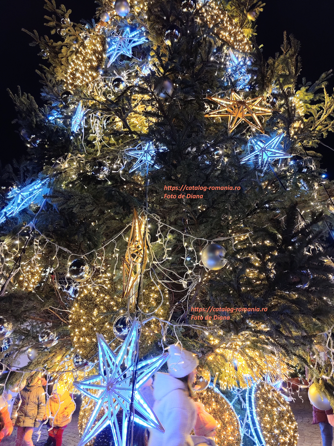 La targul de Craciun in Iasi - craciun stea galben albastru brad natural fotografie Diana
