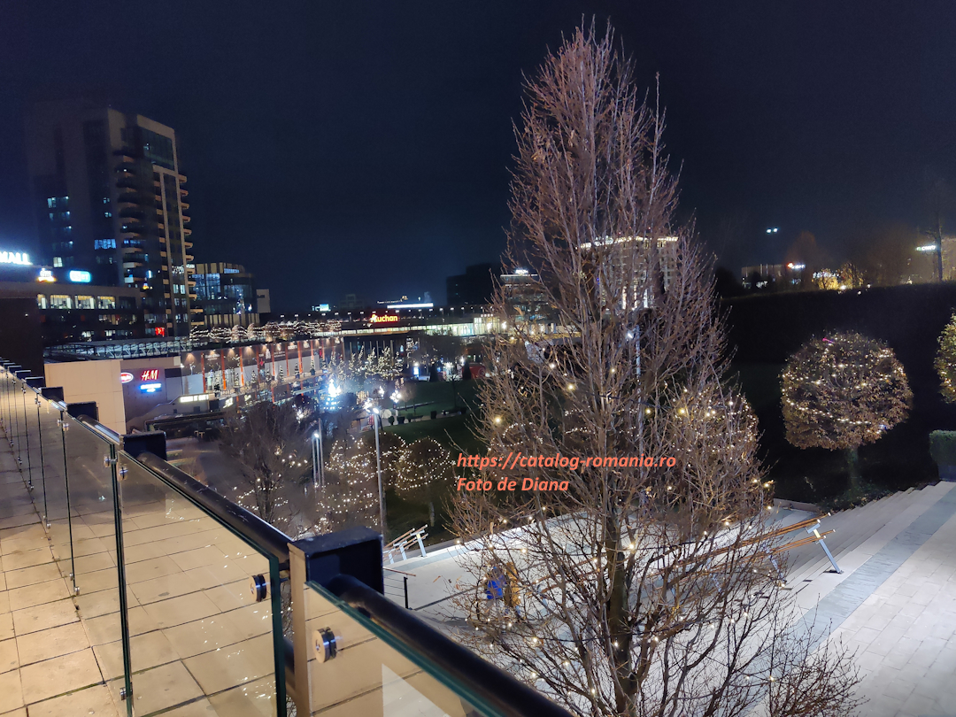 La targul de Craciun in Iasi - intindere terasa mall scari copac deschidere fotografie Diana