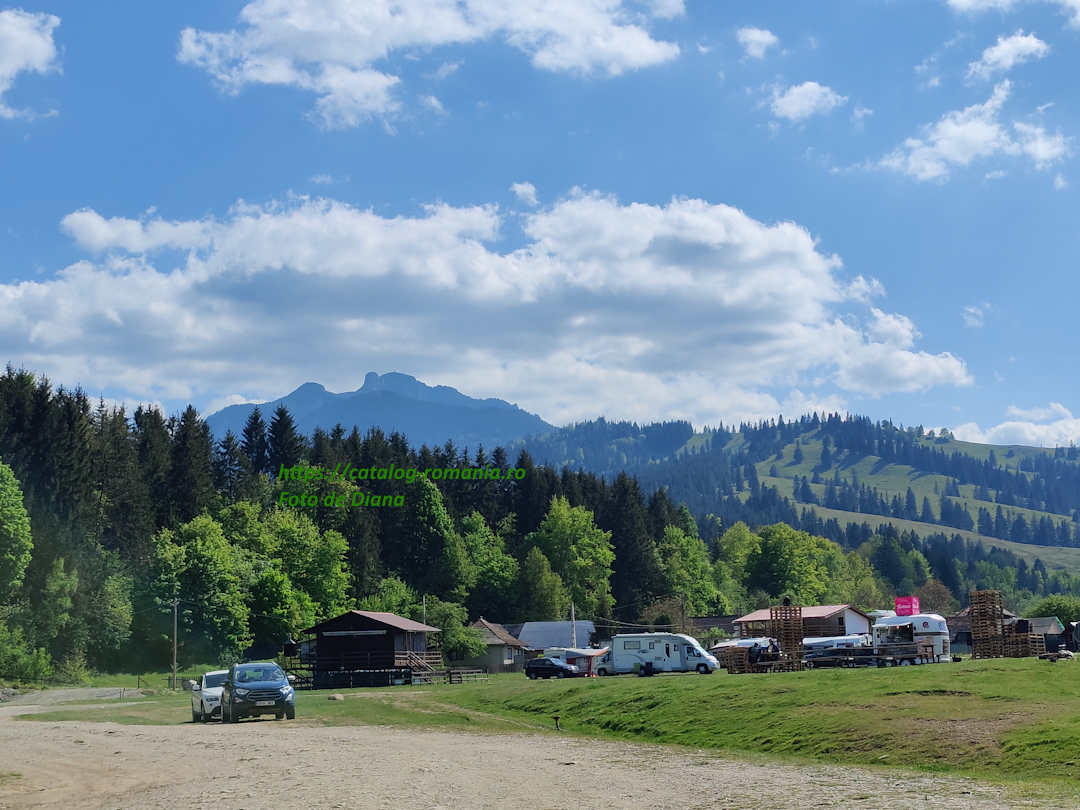 munte ceahlau padure brazi rulota masina fotografie ceahlau fotograf Diana