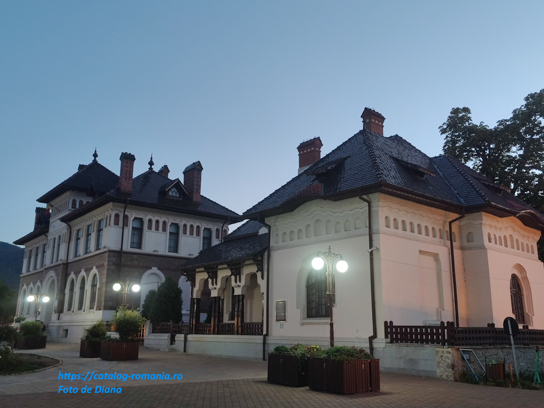 Orasul Piatra Neamt - romania moldova cladire istoric veche fotografie Diana