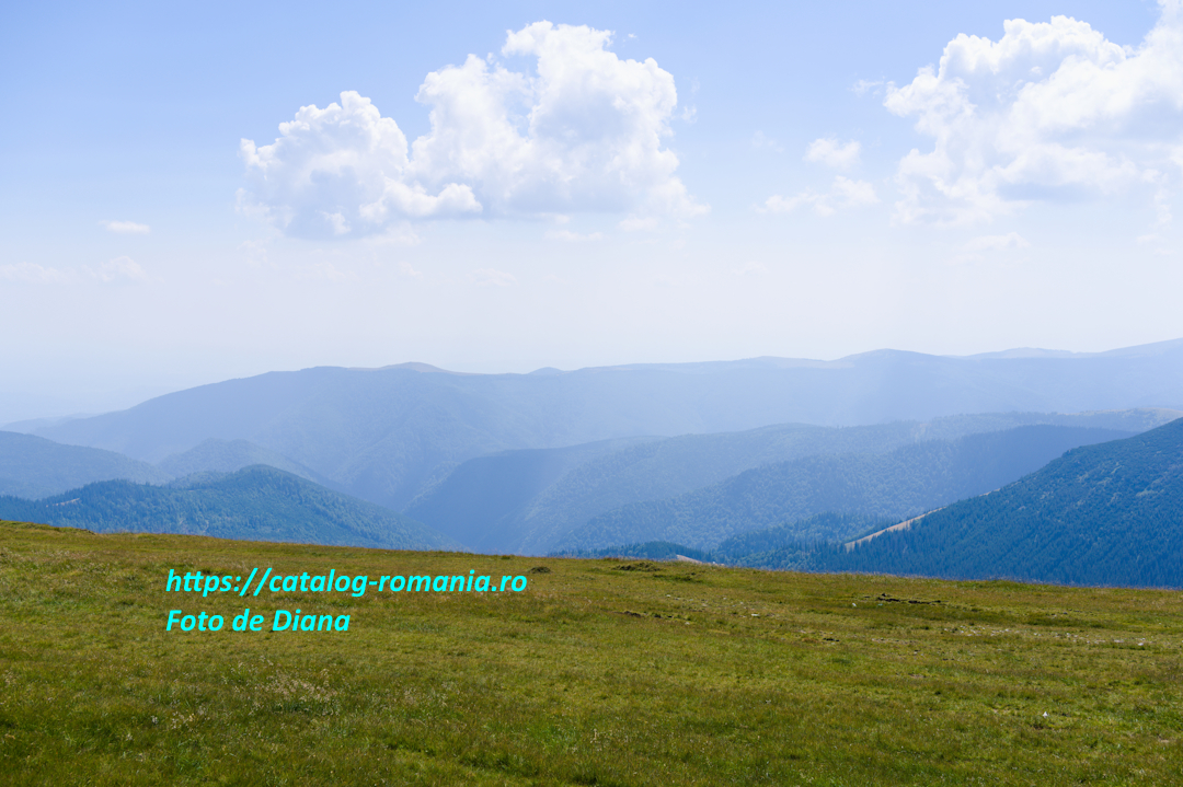 Transalpina - Vedere munte pajisti alpin cer nori albastru Romania Diana