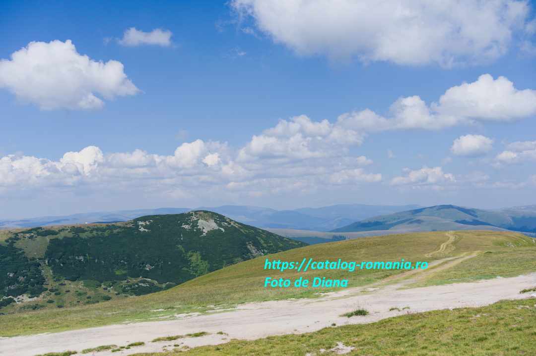Transalpina by Diana