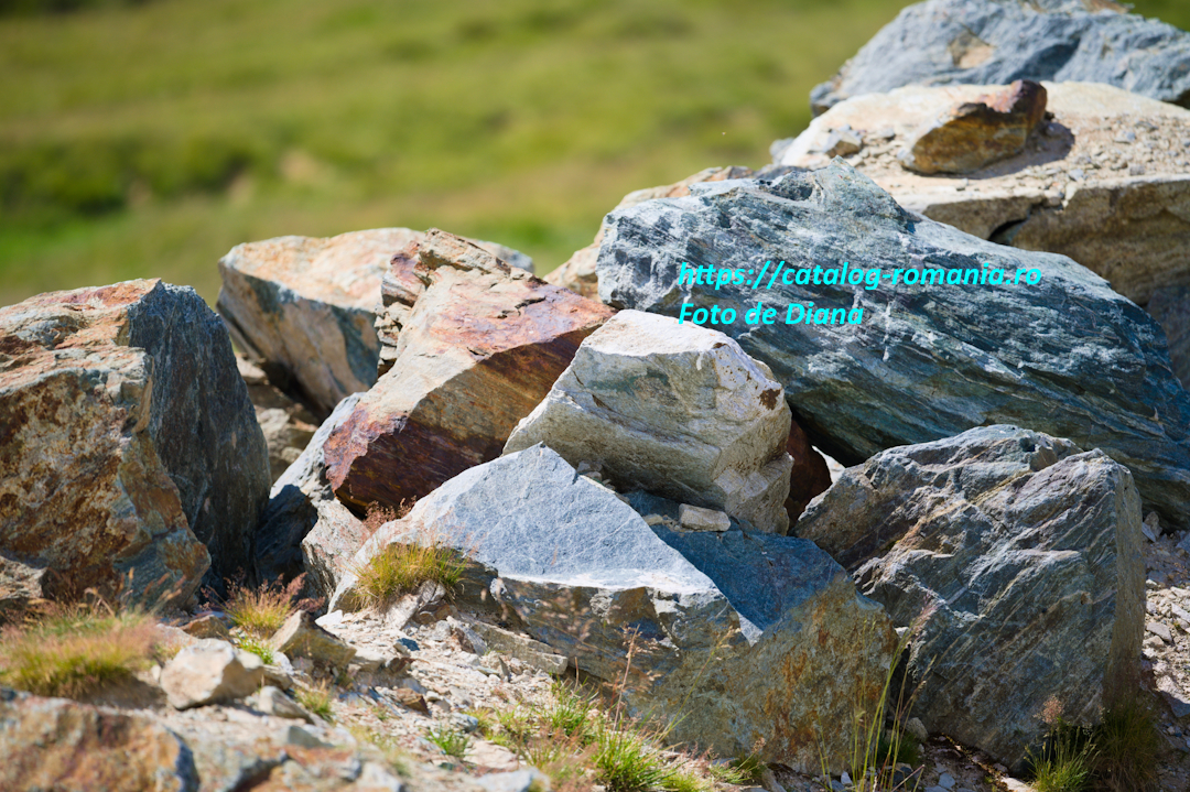 Transalpina - Vedere Romania munte sosea turism piatra alpin Diana