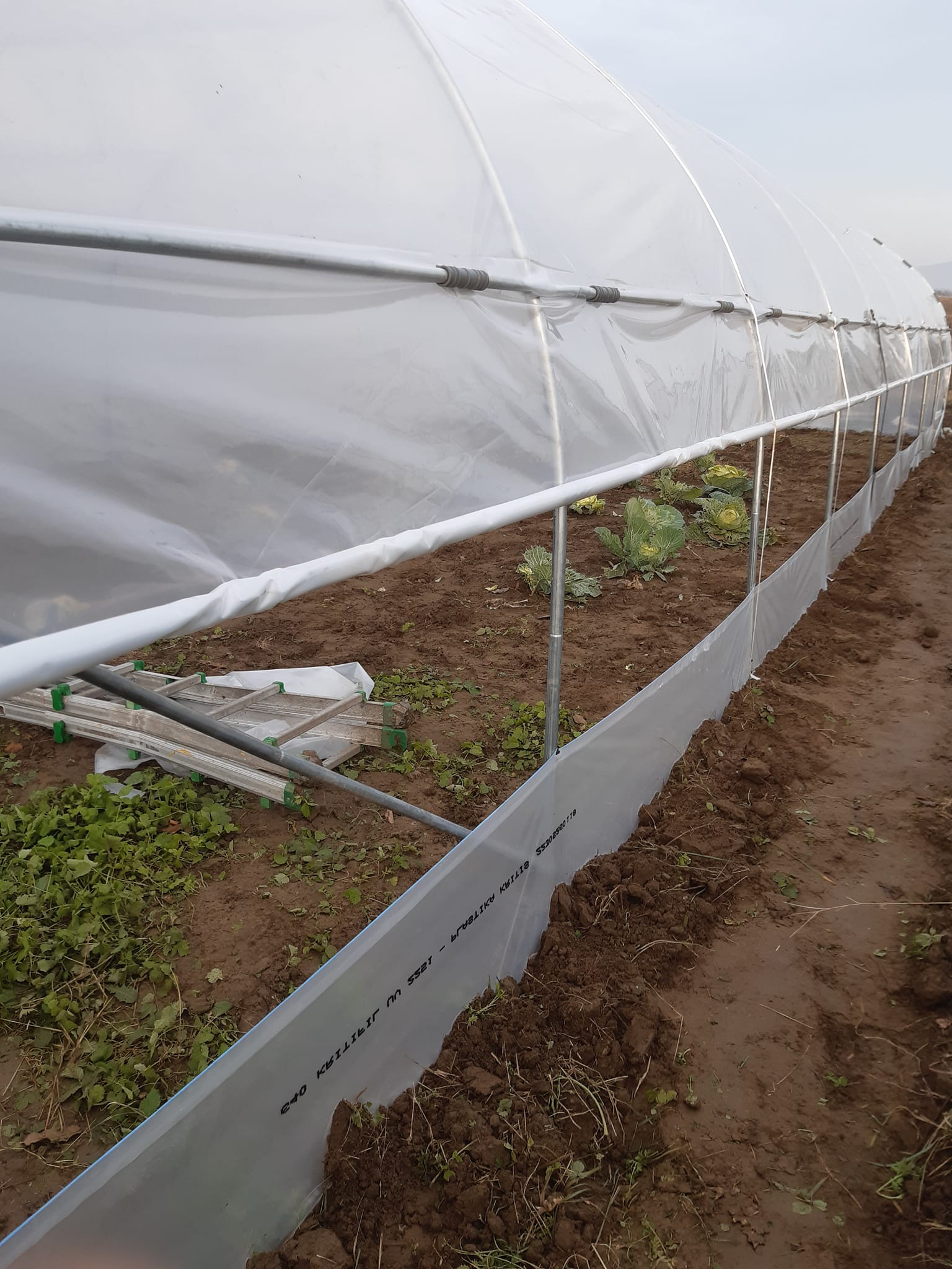 Bacau Solar structura plastic - market plante 5