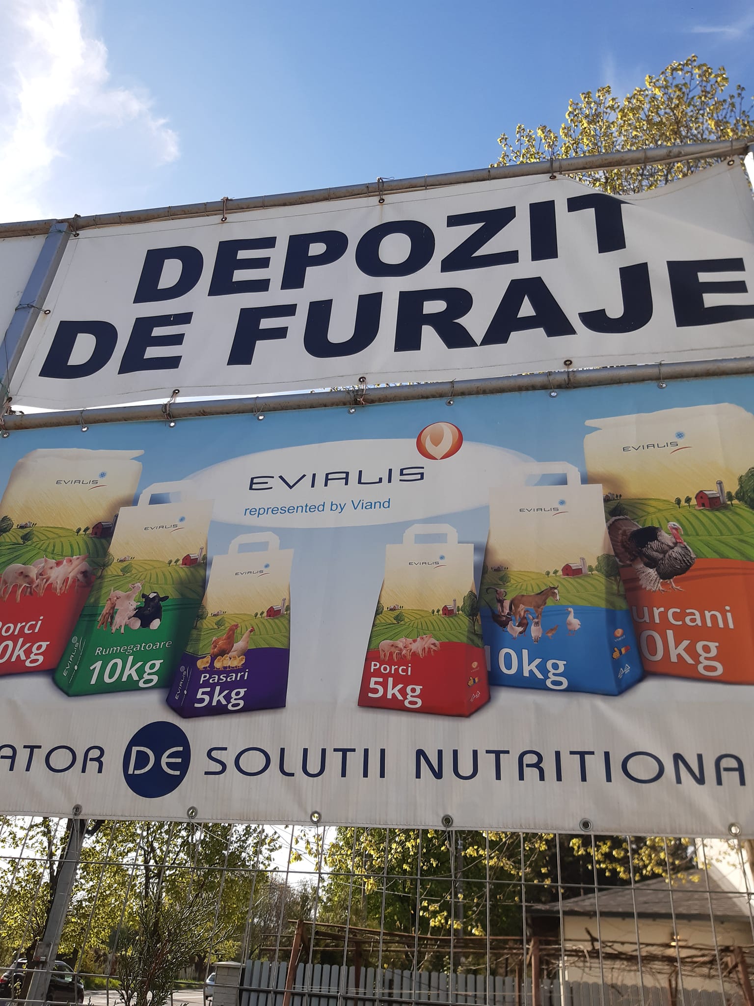 xerox flori premium rasaduri rosii Bacau legume seminte agricultura porci pasari animale arcade solar