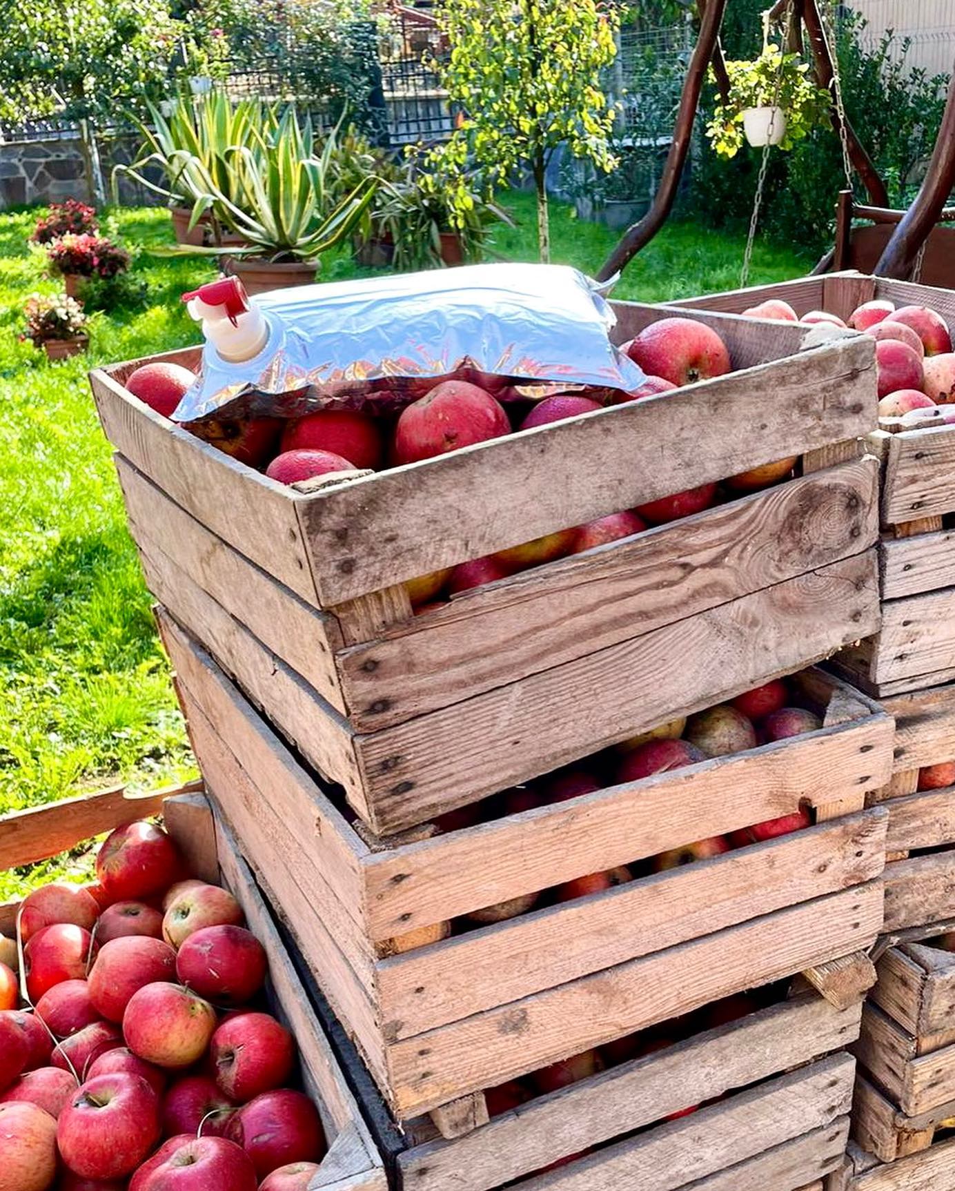 bio fruct vitamine si minerale copii adulti par imunitate suc natural sanatos lada romania