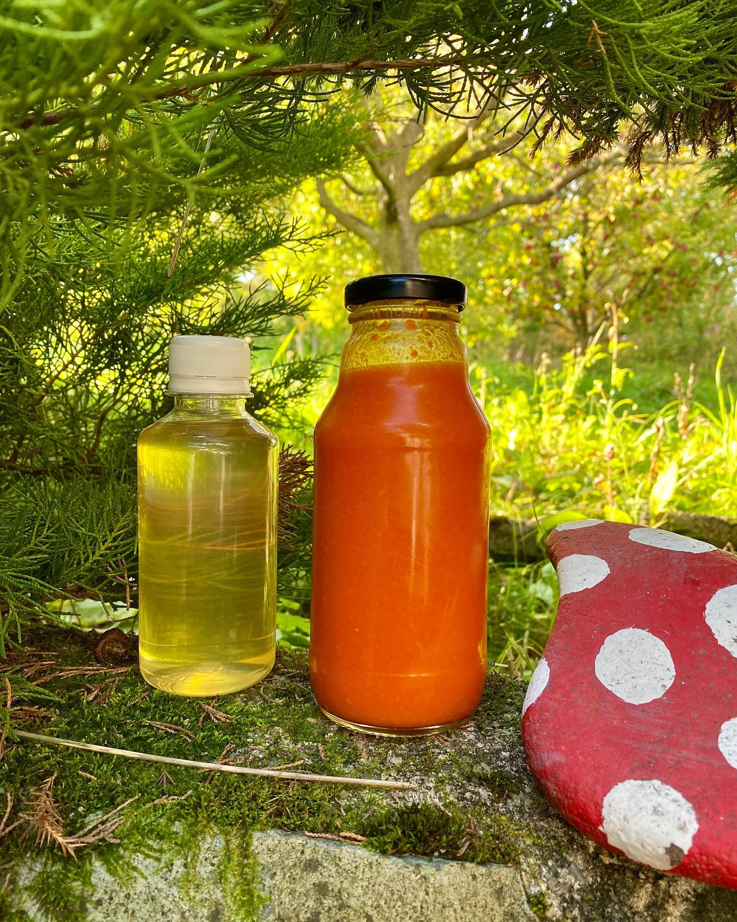 medicament bio fruct vitamine si minerale copii adulti par imunitate suc natural sanatos plafar online romania